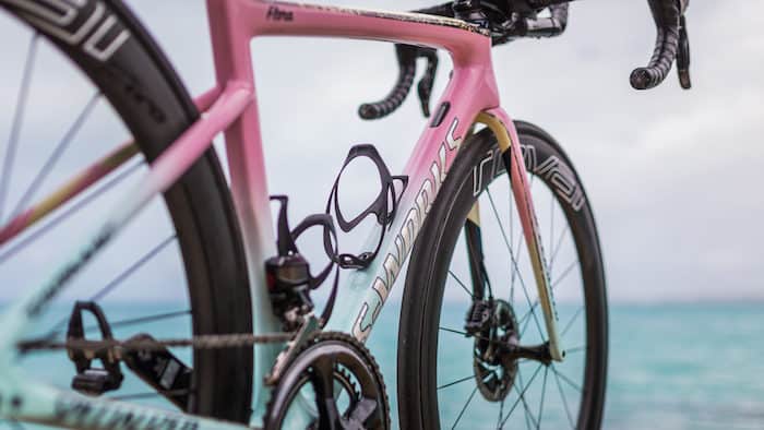 Flora Duffy custom Specialized Tarmac