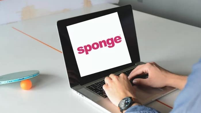 Sponge Marketing