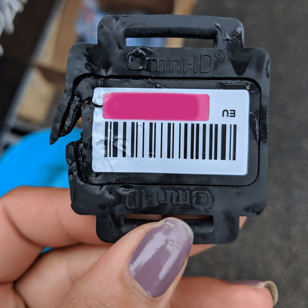 timing chips
