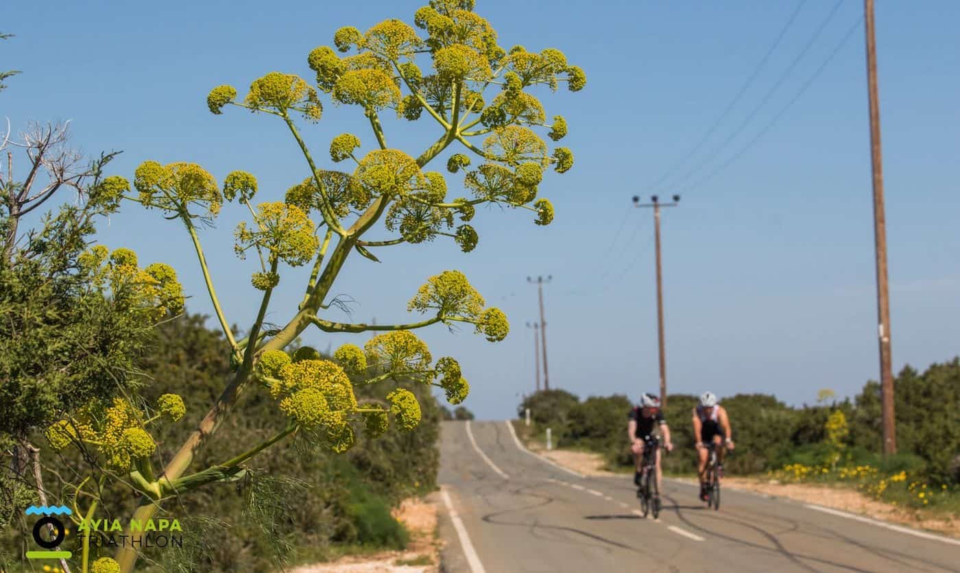 Ayia Napa Triathlon 2019