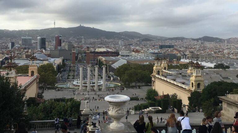 Barcelona Triathlon 2019 / Chris Hovenden