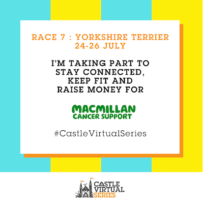 Yorkshire Terrier / Castle Virtual Series