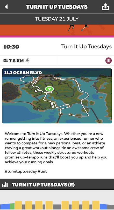 Zwift Run Group Workout