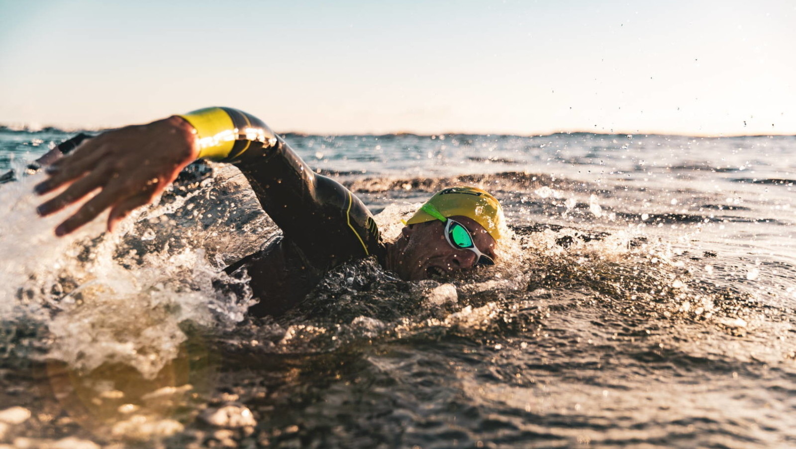 Zone3swimmer Zone3 / USA Triathlon