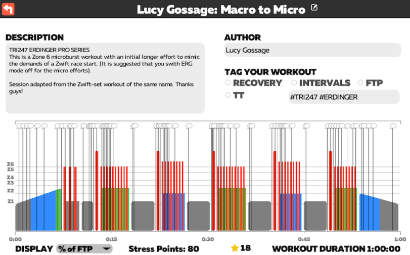 Lucy Gossage / ERDINGER / Macro to Micro / Zwift Workout Series