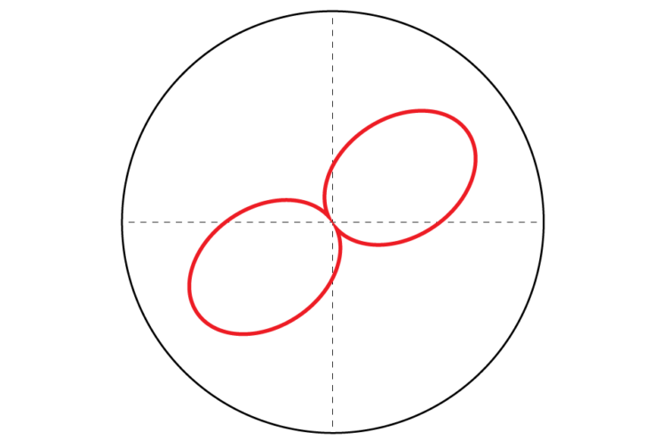 Wattbike Polar View - Foundation