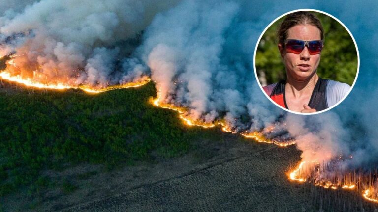 Forest Fires North America 2023 Tamara Jewett Prize Money Pledge
