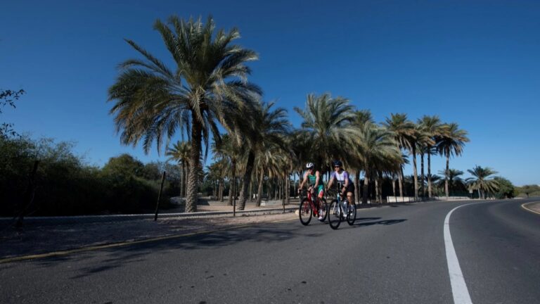 Challenge Sir Bani Yas bike course