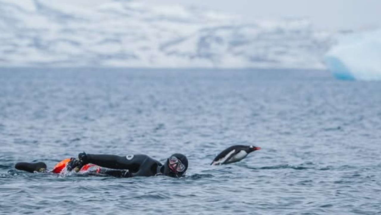 Spencer Matthews Antarctic swim