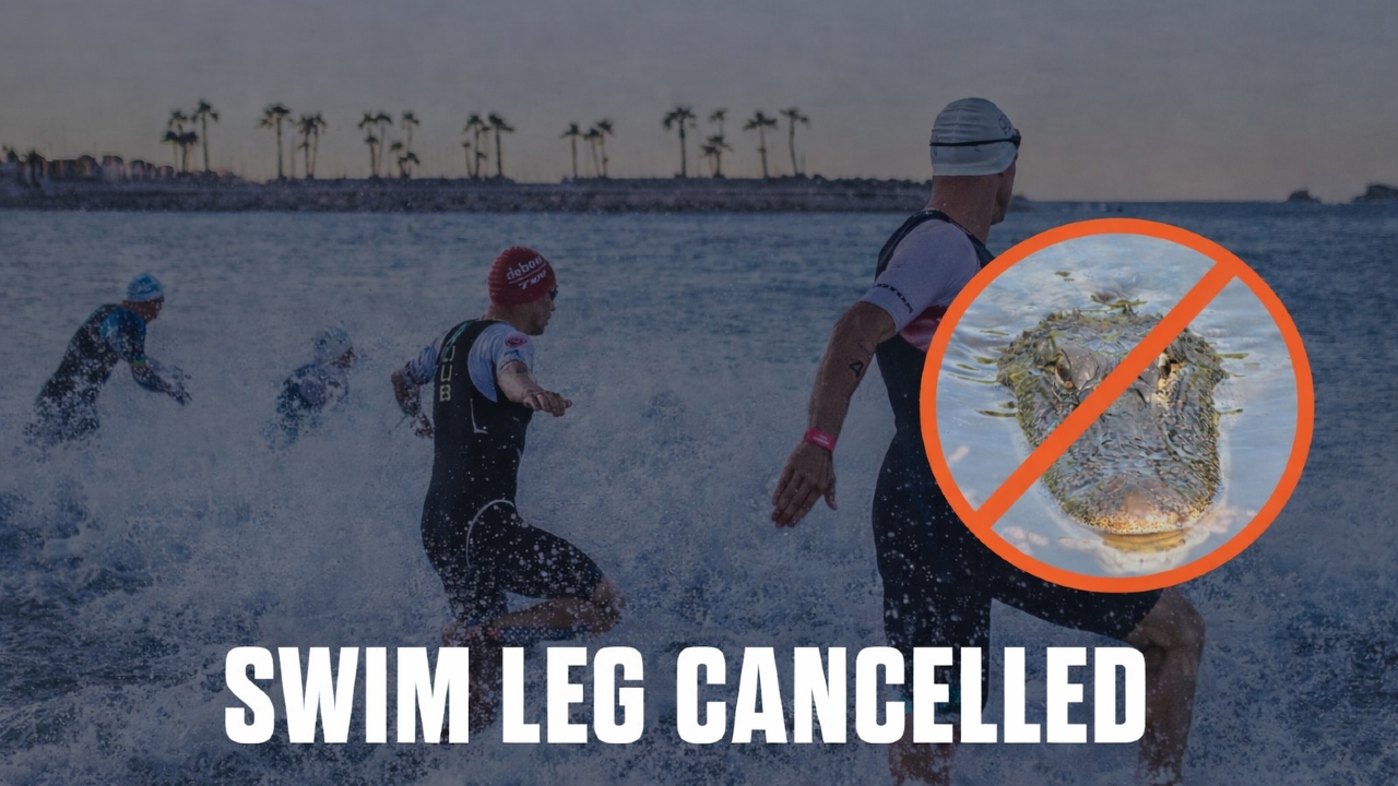swim leg cancelled wildlife sightings