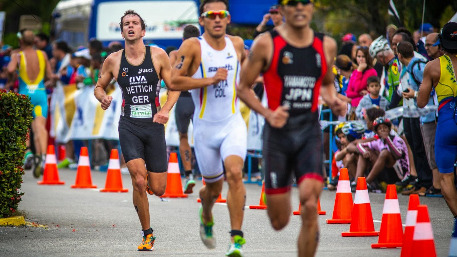 triathlete following olympic distance training plan with swim bike run sessions for race preparation