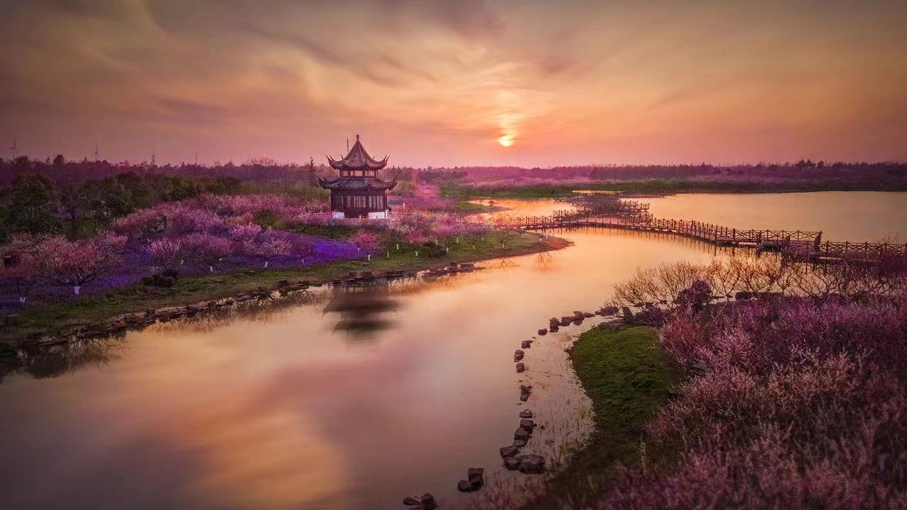 challenge-family-shanghai