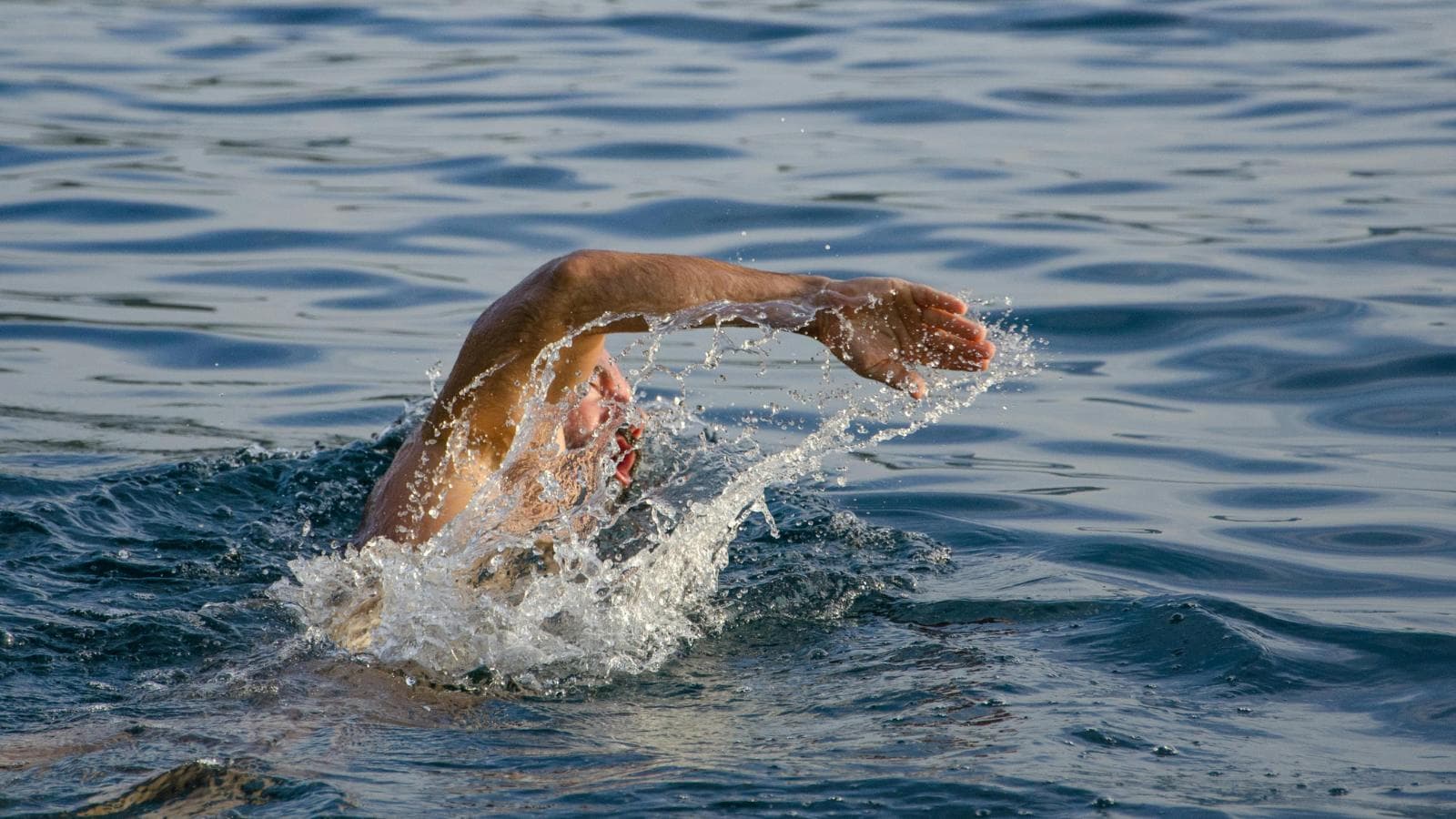 triathlete breathing to the side while swimming in open water during race training
