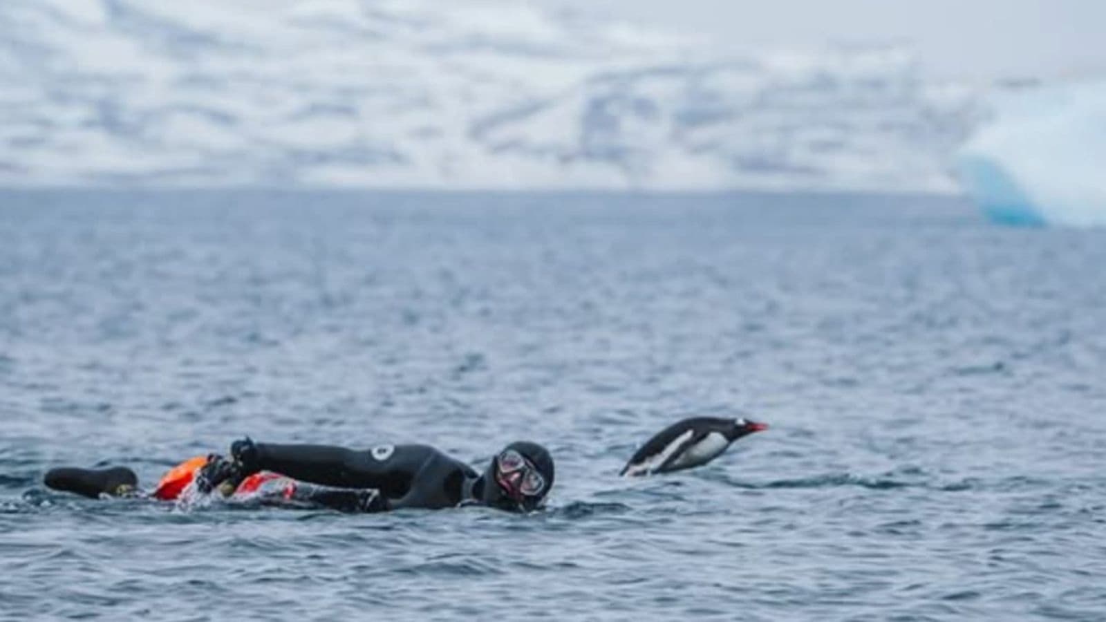 Triathlete practicing a focused freestyle drill in the pool to isolate and improve a specific swim technique skill.